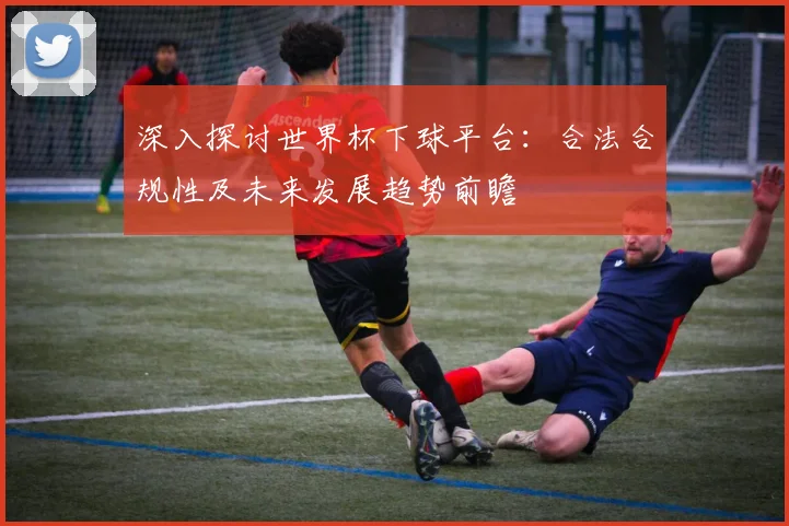 深入探讨世界杯下球平台：合法合规性及未来发展趋势前瞻