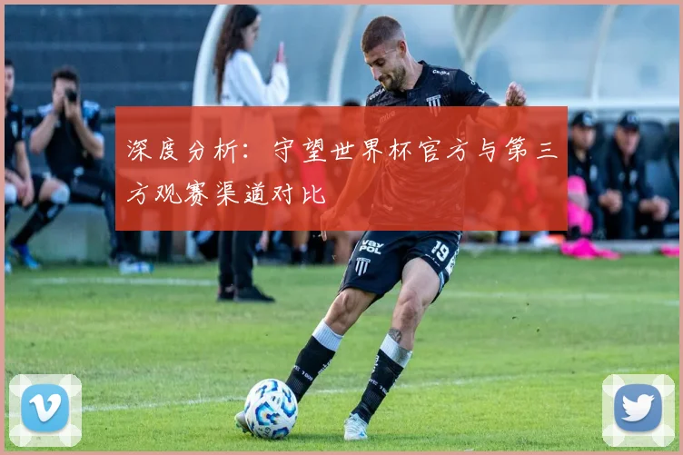 深度分析：守望世界杯官方与第三方观赛渠道对比
