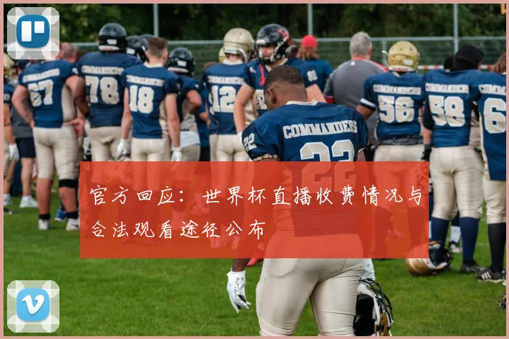 官方回应：世界杯直播收费情况与合法观看途径公布