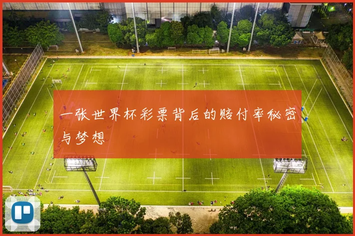 一张世界杯彩票背后的赔付率秘密与梦想