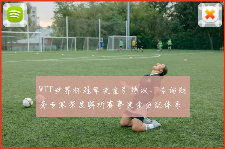 WTT世界杯冠军奖金引热议，专访财务专家深度解析赛事奖金分配体系