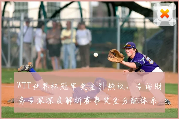 WTT世界杯冠军奖金引热议，专访财务专家深度解析赛事奖金分配体系